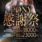 ヒメ日記 2025/11/29 19:20 投稿 れお【アナル舐めの伝道師】 ポニーテール和歌山店