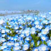 ヒメ日記 2025/05/05 16:08 投稿 ゆらぎ 吉祥寺人妻研究会