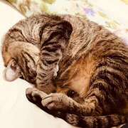 ヒメ日記 2025/05/08 09:17 投稿 ゆらぎ 吉祥寺人妻研究会