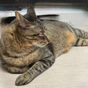 ヒメ日記 2025/05/20 10:03 投稿 ゆらぎ 吉祥寺人妻研究会