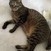 ヒメ日記 2025/07/22 09:30 投稿 ゆらぎ 吉祥寺人妻研究会