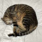 ヒメ日記 2025/08/23 09:27 投稿 ゆらぎ 吉祥寺人妻研究会