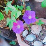 ヒメ日記 2025/09/28 12:30 投稿 ゆらぎ 吉祥寺人妻研究会