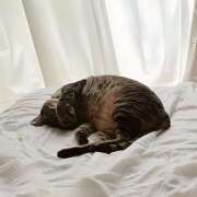 ヒメ日記 2025/10/13 19:46 投稿 ゆらぎ 吉祥寺人妻研究会