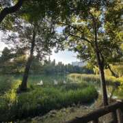 ヒメ日記 2025/10/18 10:35 投稿 ゆらぎ 吉祥寺人妻研究会