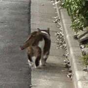 ヒメ日記 2025/11/08 14:01 投稿 ゆらぎ 吉祥寺人妻研究会