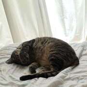 ヒメ日記 2025/12/28 05:39 投稿 ゆらぎ 吉祥寺人妻研究会