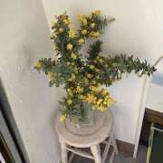 ヒメ日記 2026/03/01 12:34 投稿 ゆらぎ 吉祥寺人妻研究会