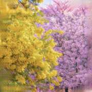 ヒメ日記 2026/03/12 10:26 投稿 ゆらぎ 吉祥寺人妻研究会