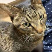 ヒメ日記 2026/03/30 15:44 投稿 ゆらぎ 吉祥寺人妻研究会