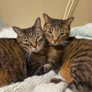 ヒメ日記 2024/12/27 09:31 投稿 ゆらぎ 吉祥寺熟女の秘密基地