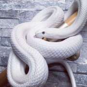 ヒメ日記 2025/01/04 14:05 投稿 ゆらぎ 吉祥寺熟女の秘密基地