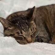 ヒメ日記 2025/05/01 08:32 投稿 ゆらぎ 吉祥寺熟女の秘密基地
