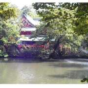 ヒメ日記 2025/05/12 11:05 投稿 ゆらぎ 吉祥寺熟女の秘密基地