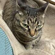 ヒメ日記 2025/06/04 07:59 投稿 ゆらぎ 吉祥寺熟女の秘密基地