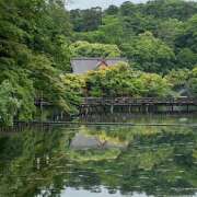 ヒメ日記 2025/06/06 10:42 投稿 ゆらぎ 吉祥寺熟女の秘密基地