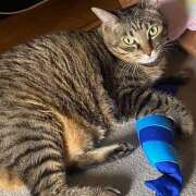 ヒメ日記 2025/06/08 01:25 投稿 ゆらぎ 吉祥寺熟女の秘密基地