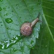 ヒメ日記 2025/06/13 12:25 投稿 ゆらぎ 吉祥寺熟女の秘密基地