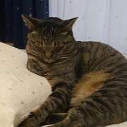 ヒメ日記 2025/06/19 10:16 投稿 ゆらぎ 吉祥寺熟女の秘密基地