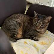 ヒメ日記 2025/09/02 08:32 投稿 ゆらぎ 吉祥寺熟女の秘密基地