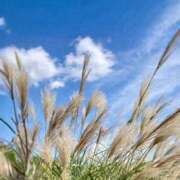 ヒメ日記 2025/10/02 11:59 投稿 ゆらぎ 吉祥寺熟女の秘密基地