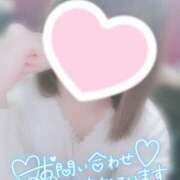 ヒメ日記 2024/12/17 22:26 投稿 すず わんないとらぶ