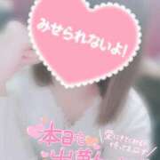 ヒメ日記 2025/02/20 22:00 投稿 すず わんないとらぶ