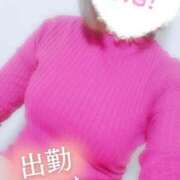 ヒメ日記 2025/02/26 21:42 投稿 すず わんないとらぶ