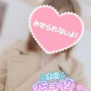 ヒメ日記 2025/03/19 19:14 投稿 すず わんないとらぶ