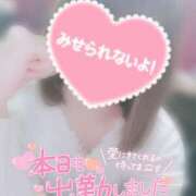ヒメ日記 2025/05/02 00:14 投稿 すず わんないとらぶ