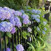 ヒメ日記 2025/06/25 22:12 投稿 みさと カワサキEROTIC（ソープランド）