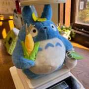 ヒメ日記 2025/01/29 18:07 投稿 三河島うるる ハプニング痴漢電車or全裸入室