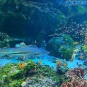 ヒメ日記 2025/07/05 12:27 投稿 三河島うるる ハプニング痴漢電車or全裸入室