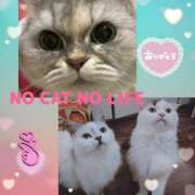 ヒメ日記 2024/12/09 17:31 投稿 りな 熟女デリヘル倶楽部