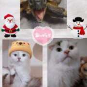 ヒメ日記 2024/12/19 22:43 投稿 りな 熟女デリヘル倶楽部