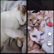 ヒメ日記 2025/05/24 14:02 投稿 りな 熟女デリヘル倶楽部