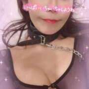 ヒメ日記 2026/03/25 11:01 投稿 りな 熟女デリヘル倶楽部