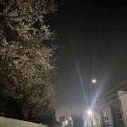 ヒメ日記 2025/04/04 09:30 投稿 小暮あきの 全裸にされた女たちor欲しがり痴漢電車