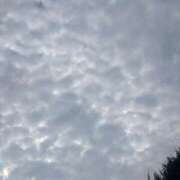 ヒメ日記 2025/08/25 08:09 投稿 小暮あきの 全裸にされた女たちor欲しがり痴漢電車