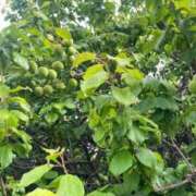 ヒメ日記 2025/05/18 08:36 投稿 亜紀 モアグループ所沢人妻城