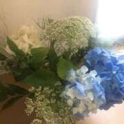 ヒメ日記 2025/06/11 06:06 投稿 亜紀 モアグループ所沢人妻城