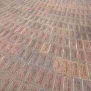 ヒメ日記 2025/09/26 13:12 投稿 亜紀 モアグループ所沢人妻城