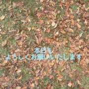 ヒメ日記 2025/11/02 09:42 投稿 亜紀 モアグループ所沢人妻城