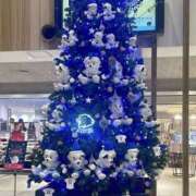 ヒメ日記 2025/11/22 08:12 投稿 亜紀 モアグループ所沢人妻城