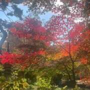 ヒメ日記 2025/11/30 09:42 投稿 亜紀 モアグループ所沢人妻城