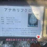 ヒメ日記 2025/11/30 21:06 投稿 亜紀 モアグループ所沢人妻城