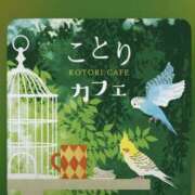 ヒメ日記 2026/04/29 09:12 投稿 亜紀 モアグループ所沢人妻城
