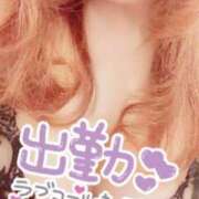 ヒメ日記 2025/01/07 09:38 投稿 京野　すみれ しこたま奥様 札幌店