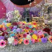 ヒメ日記 2025/05/01 20:05 投稿 京野　すみれ しこたま奥様 札幌店