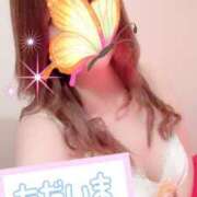 ヒメ日記 2025/07/02 10:06 投稿 京野　すみれ しこたま奥様 札幌店